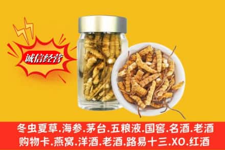 镶黄旗回收散虫草